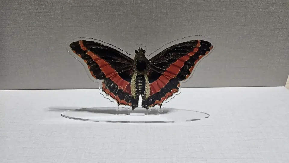 Mariposa impresa en acrílico transparente y cortada a la forma, de pie en una base ovalada transparente