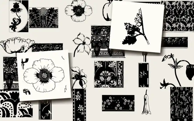 La Plante et ses Applications Ornementales