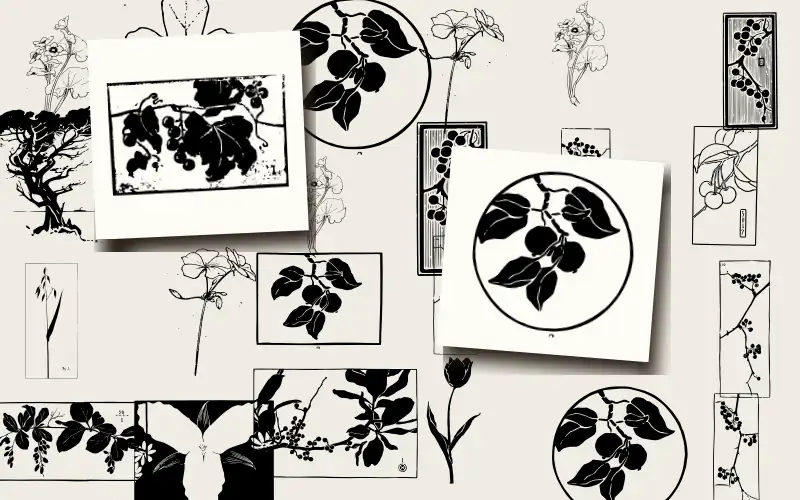 Nature Drawing from Various Points of View
