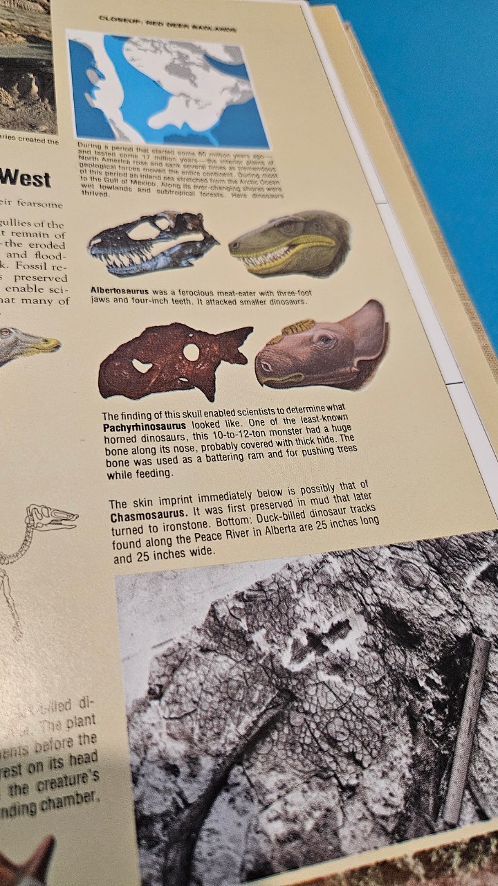 Un recorte cercano de una ilustración de dinosaurio en una página de libro envejecida y algo manchada