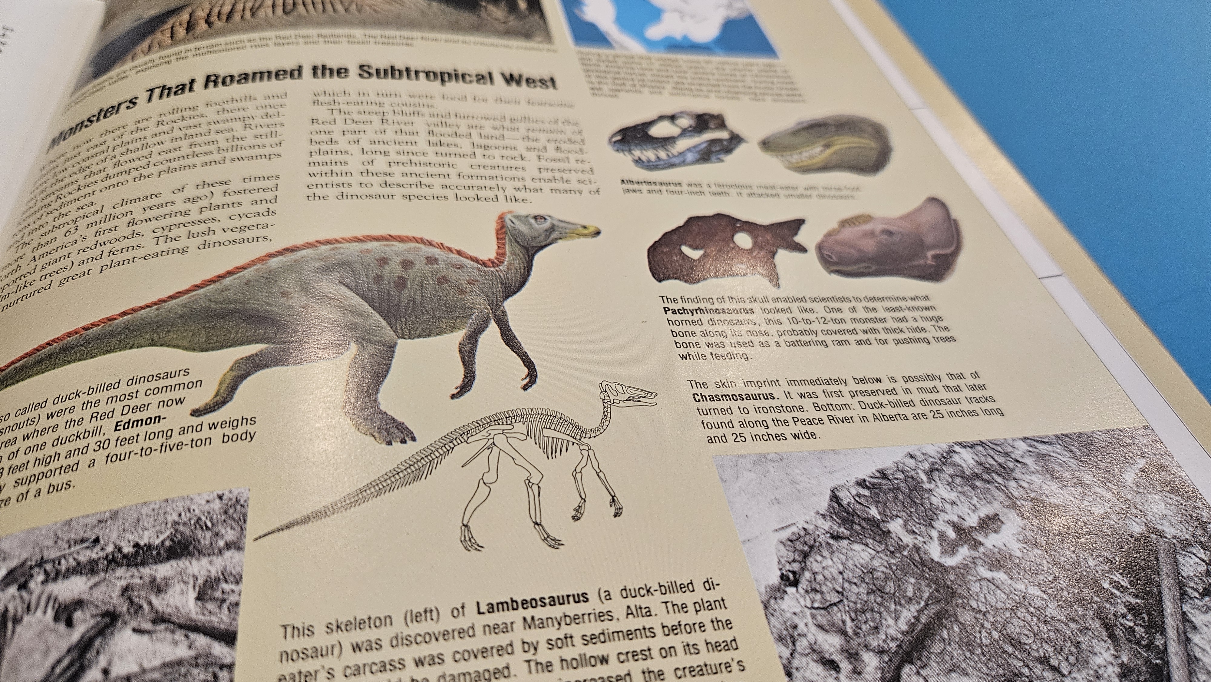 Un pliego abierto de dos páginas con una ilustración de dinosaurio, el texto que la rodea y el margen