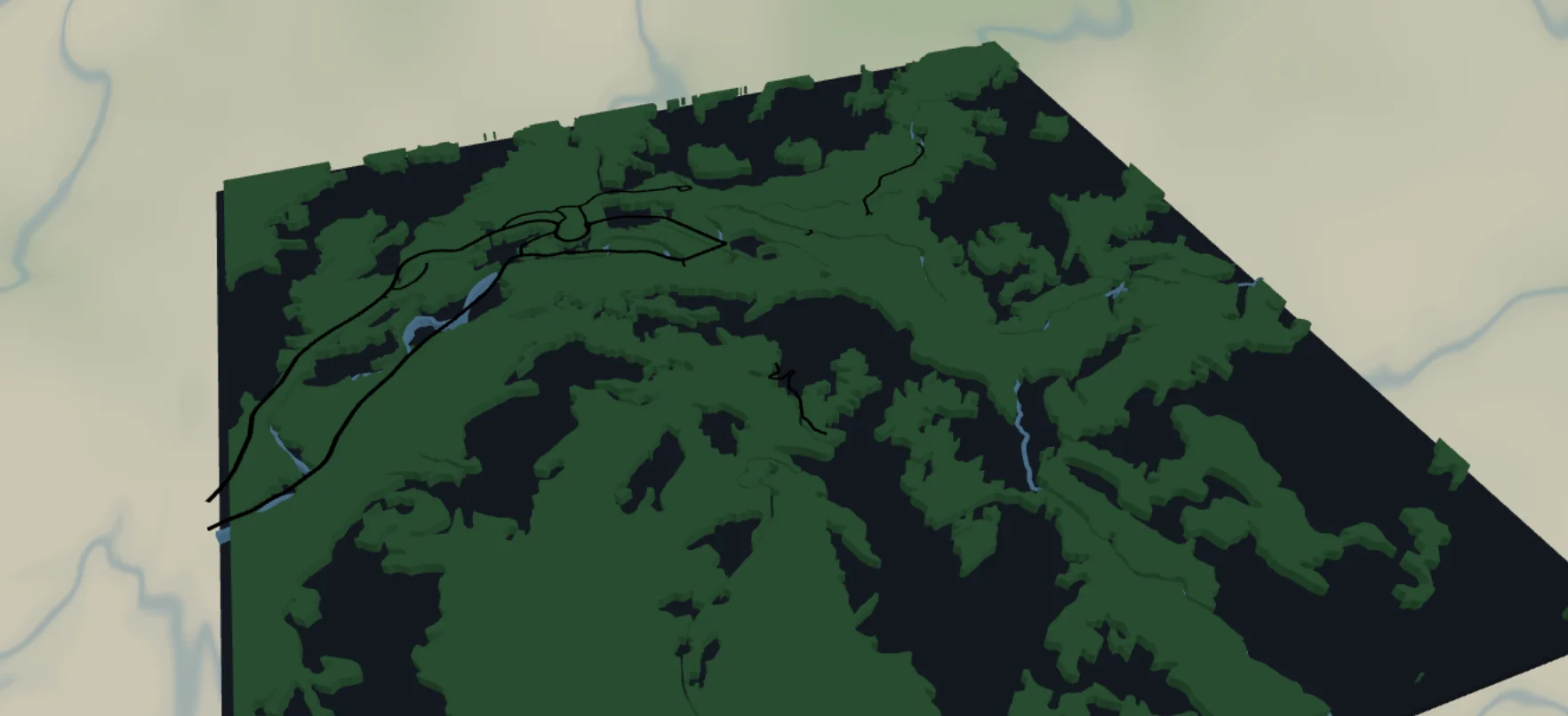 Forest and Trails